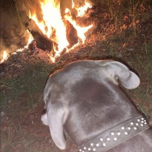 Meet your Posher, Tanner